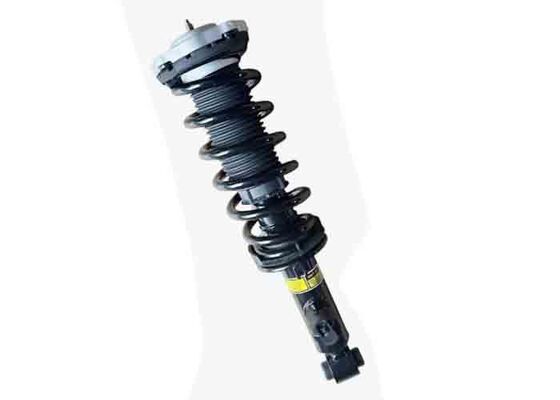 37106887148 33536884916 For BMW X3 G01 X4 G02 Rear Shock Absorber Strut ASSY w/VDC-